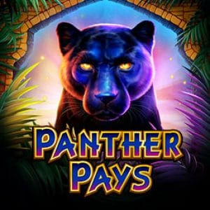 Panther Pays screenshot